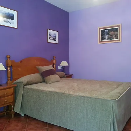 Hostel Hostal Panart *